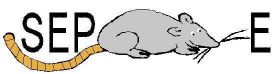 rat.jpg
