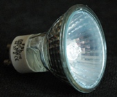 50 W halogen bulb [click to enlarge]